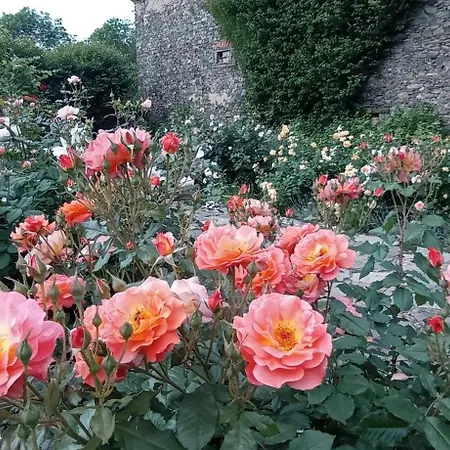 فندق Chateau Trebesice