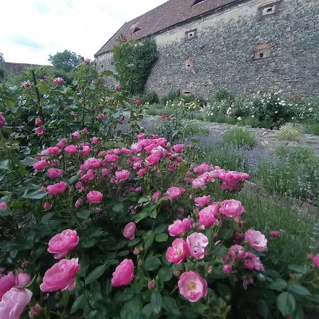 Chateau Trebesice فندق 4*
