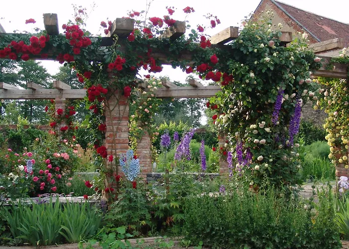 特博西兹城堡酒店 4* 库特纳霍拉