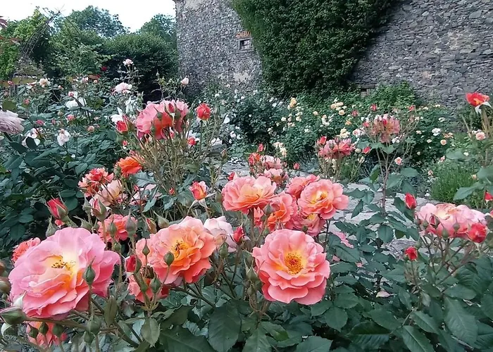 酒店 特博西兹城堡酒店