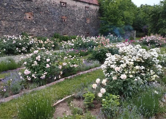 特博西兹城堡酒店