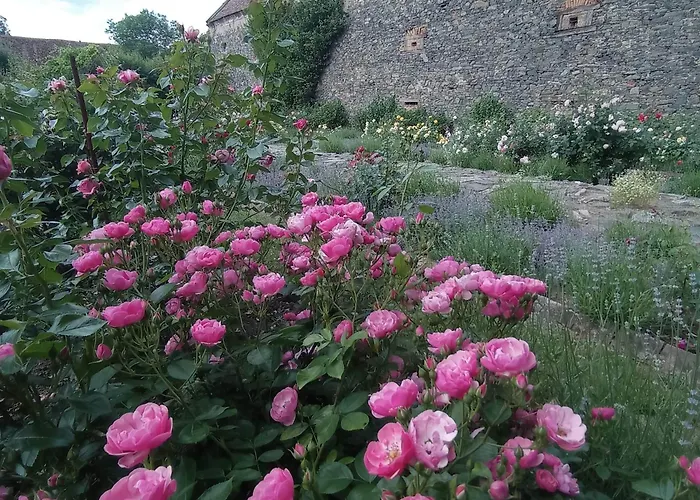 特博西兹城堡酒店 酒店 4*