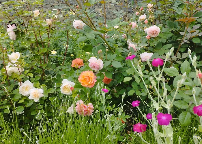 Chateau Trebesice Hotel Kutná Hora